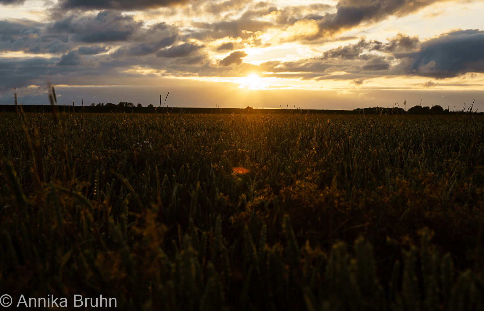 Sonnenuntergang auf Nordstrand!